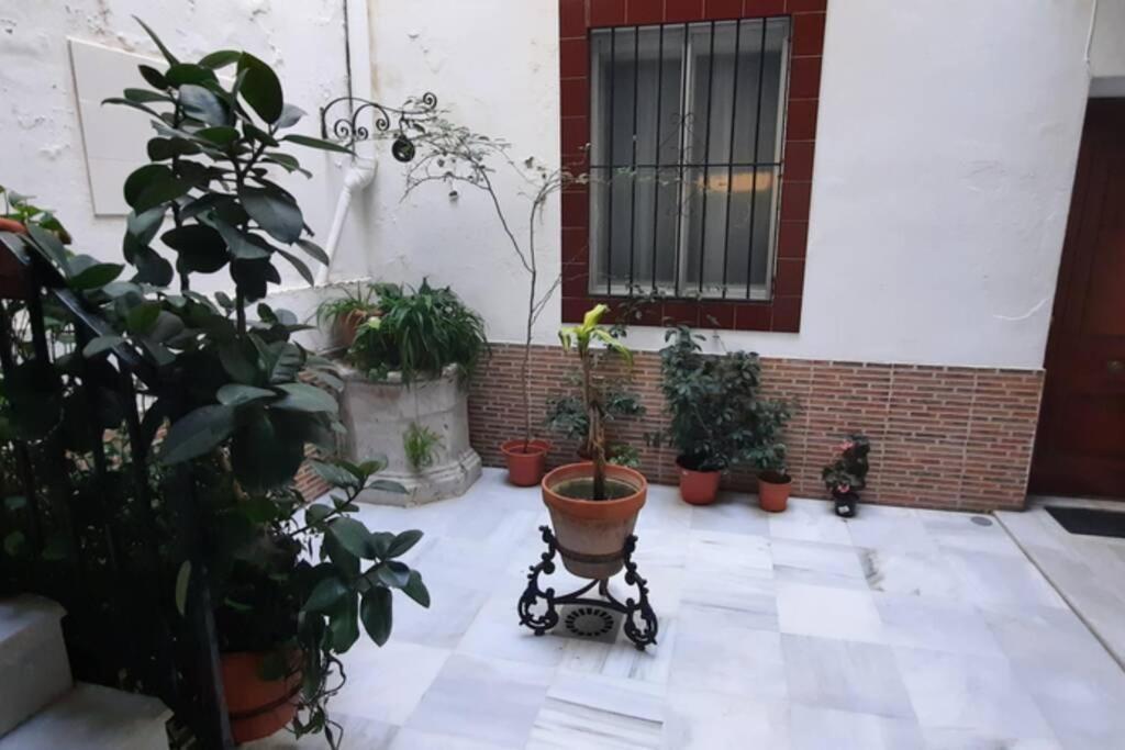 Appartement Atico En El Centro Al Lado De La Playa à Cadix Extérieur photo